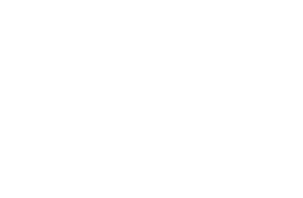 IEIS